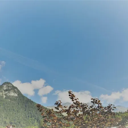 Margit Apartmán Innsbruck
