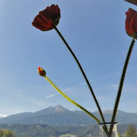 Margit Innsbruck