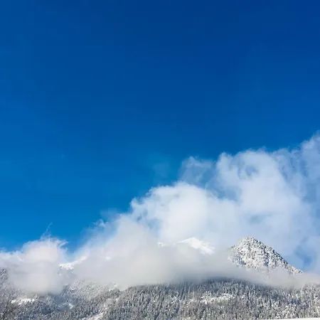 Margit Apartment Innsbruck